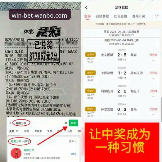 万搏体育平台安全使用全面评测：从账户保障到操作体验的深度分析